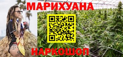 тгк Кингисепп