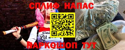 тгк Кингисепп
