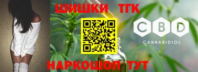 тгк Кингисепп
