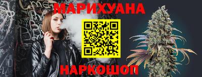 тгк Кингисепп