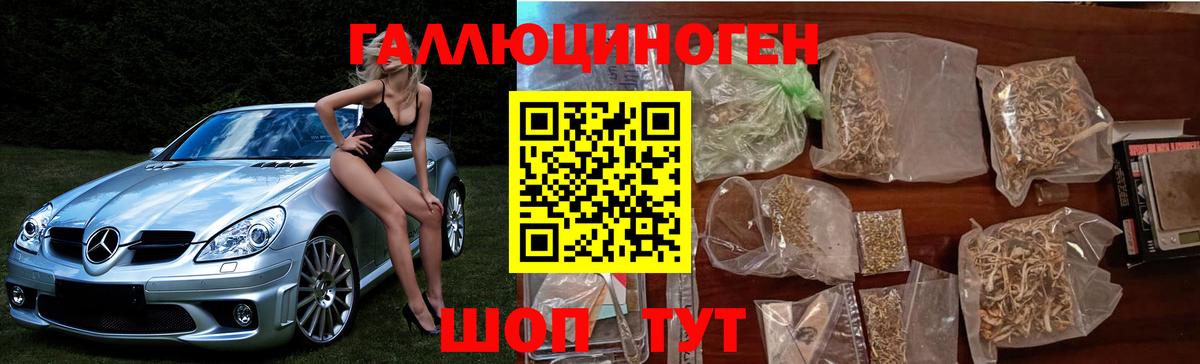 Кувандык  Псилоцибиновые грибы MAGIC MUSHROOMS  Вход с VPN 